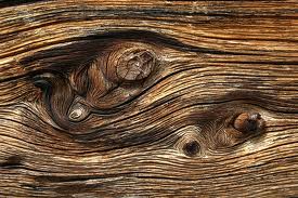 holz3.jpeg